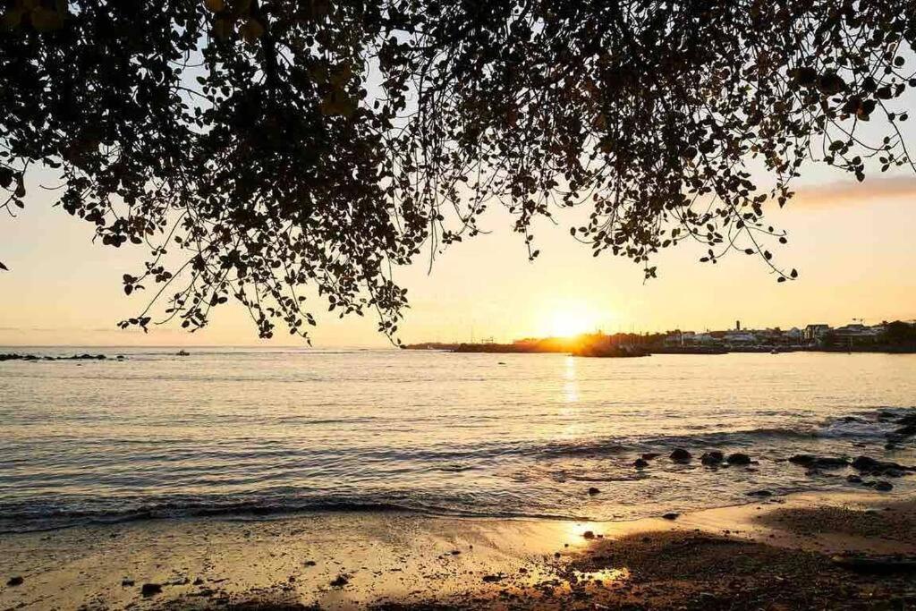 Appartement A 2 Pas De La Plage De Terre Sainte Zewnętrze zdjęcie